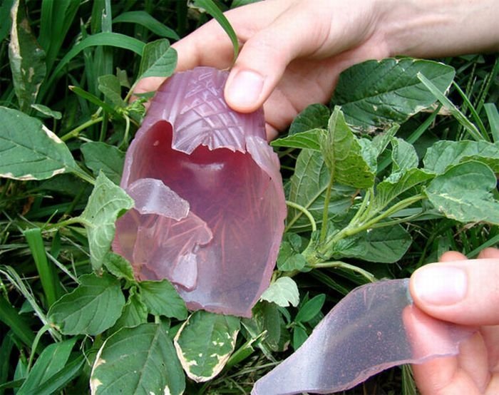 edible glass