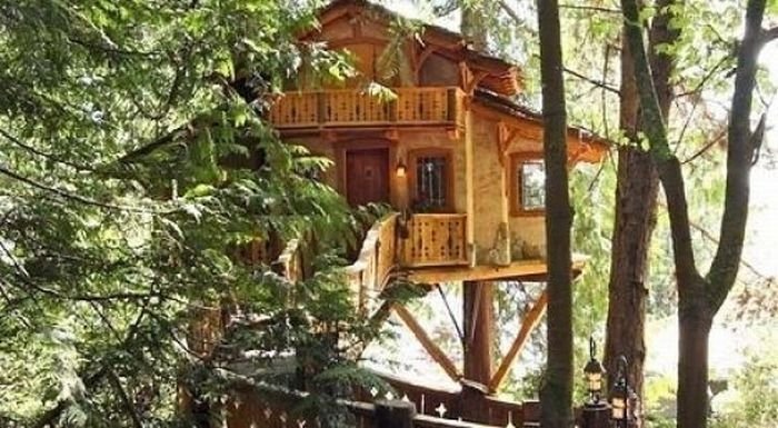 treehouse