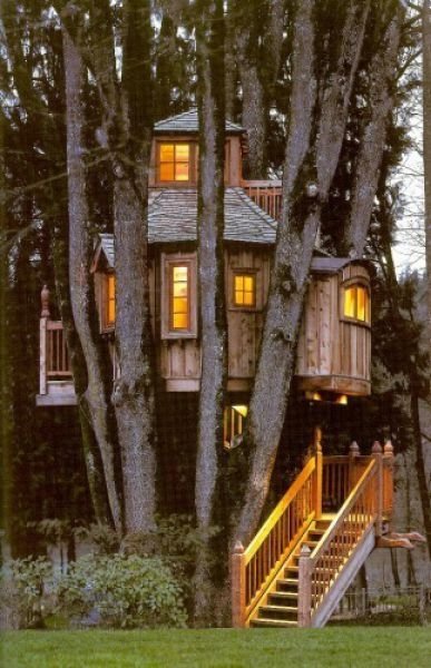 treehouse