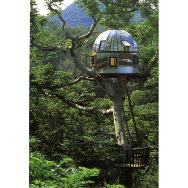 treehouse