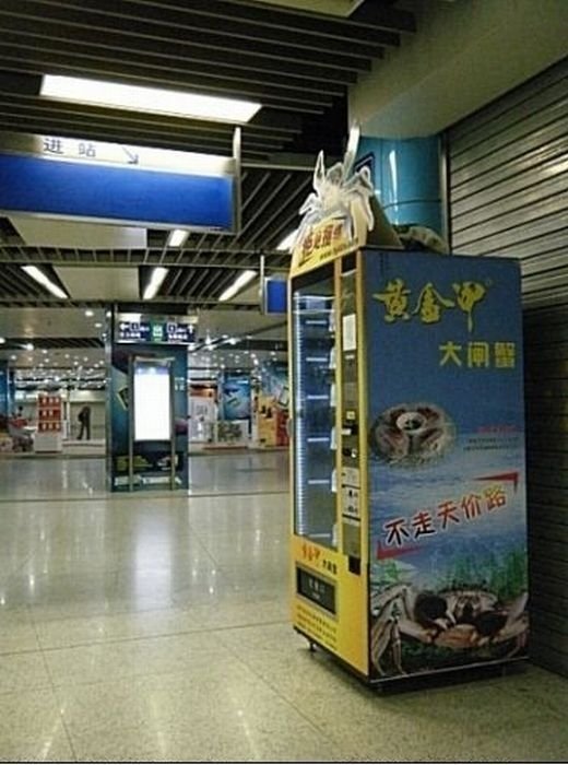 Crab vending machines, China