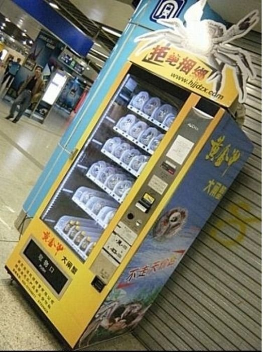 Crab vending machines, China