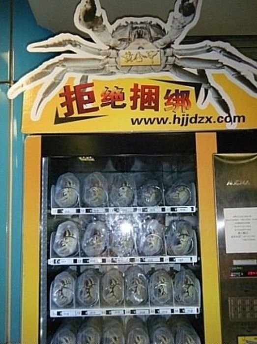 Crab vending machines, China