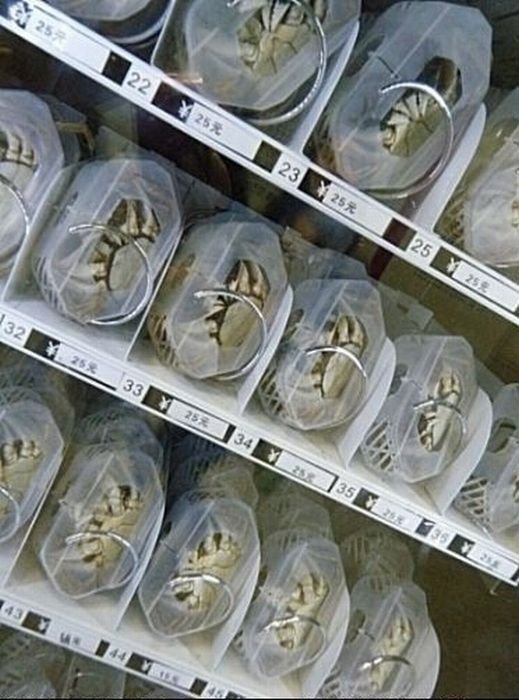 Crab vending machines, China