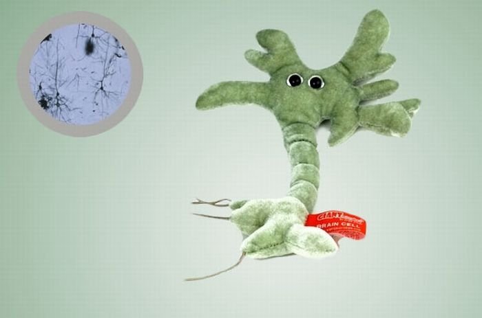 giant plush microbes