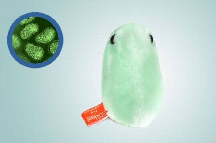giant plush microbes