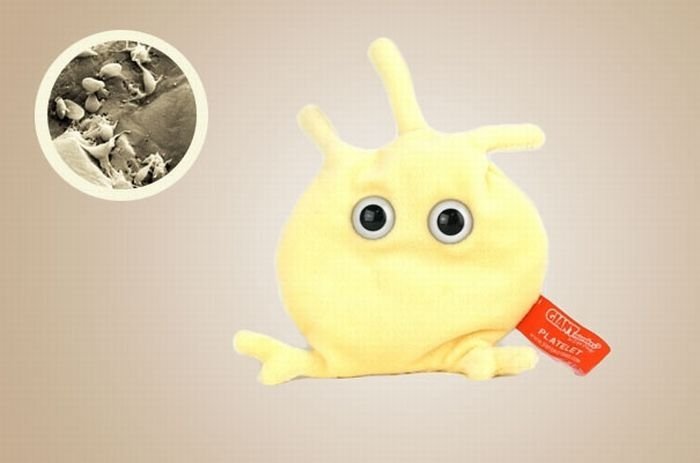 giant plush microbes