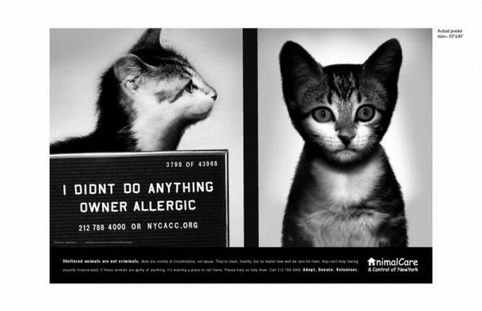 PETA animal protection campaign