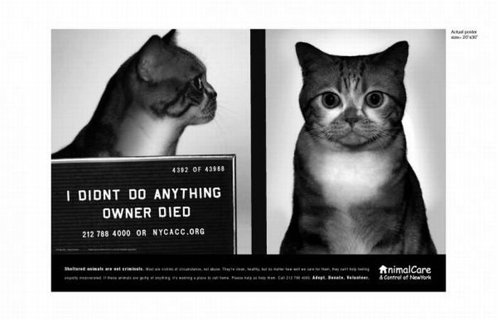 PETA animal protection campaign