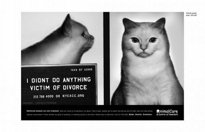 PETA animal protection campaign