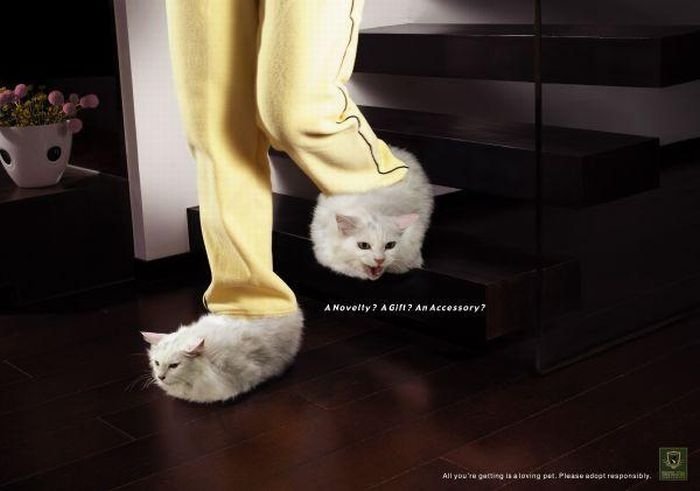 PETA animal protection campaign