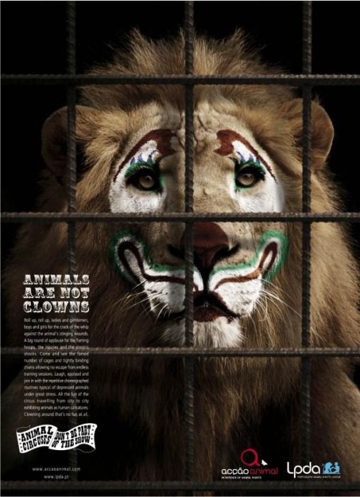 PETA animal protection campaign