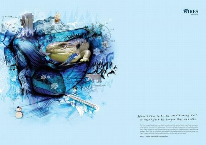 PETA animal protection campaign