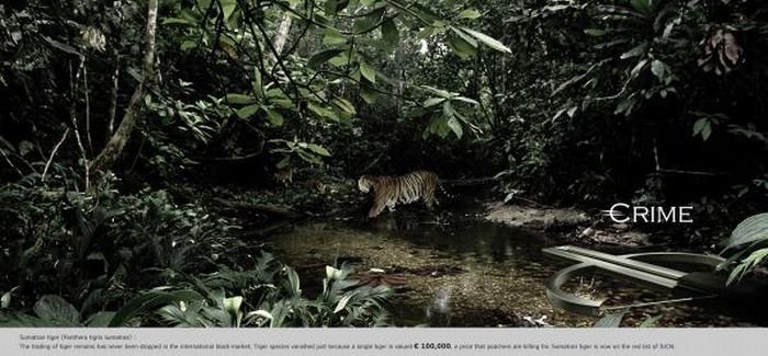 PETA animal protection campaign