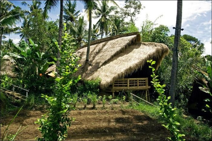 Green school, Bali