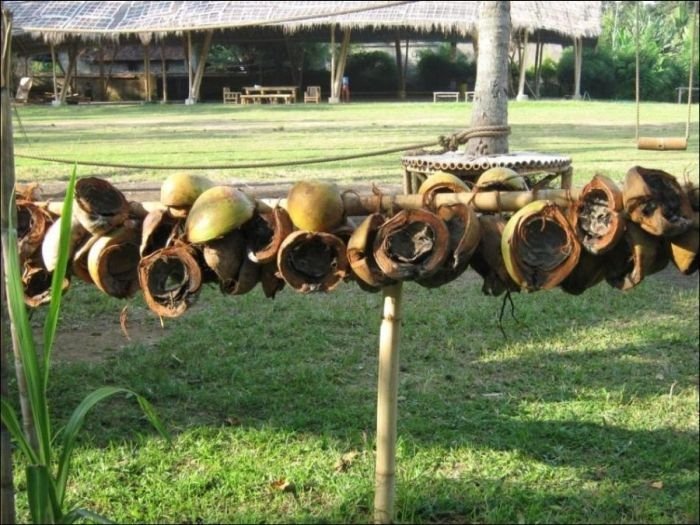 Green school, Bali