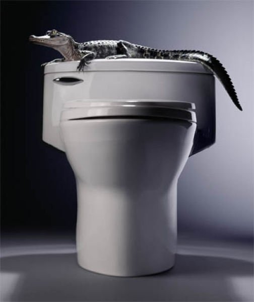 Advertising by Steve Bronstein