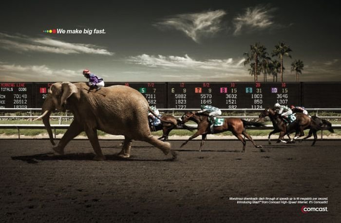 animals in advertisement