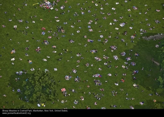 New York City from the air by Yann Arthus-Bertrand