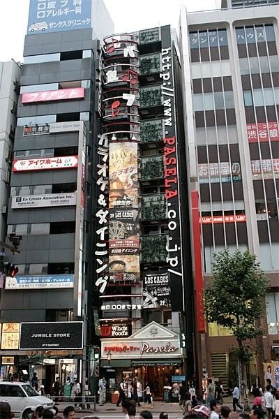 Thin house, Japan