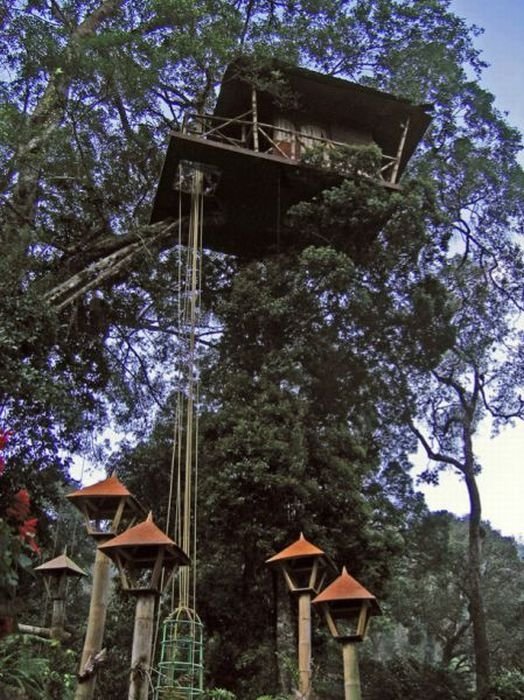 treehouse