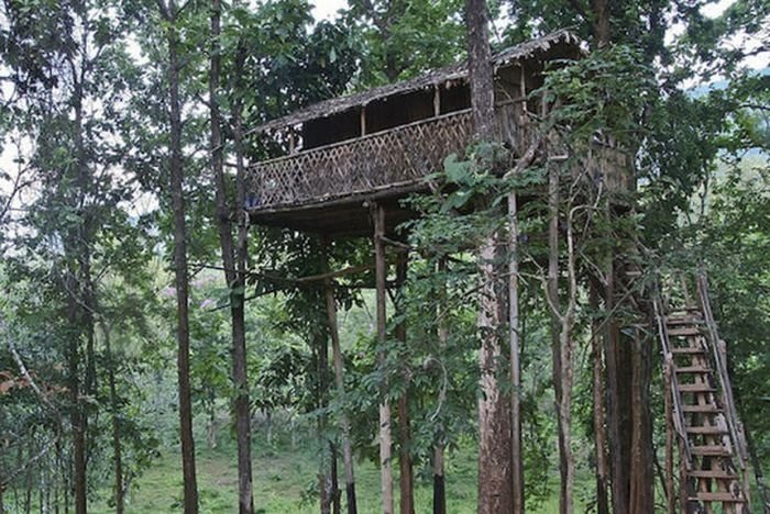 treehouse