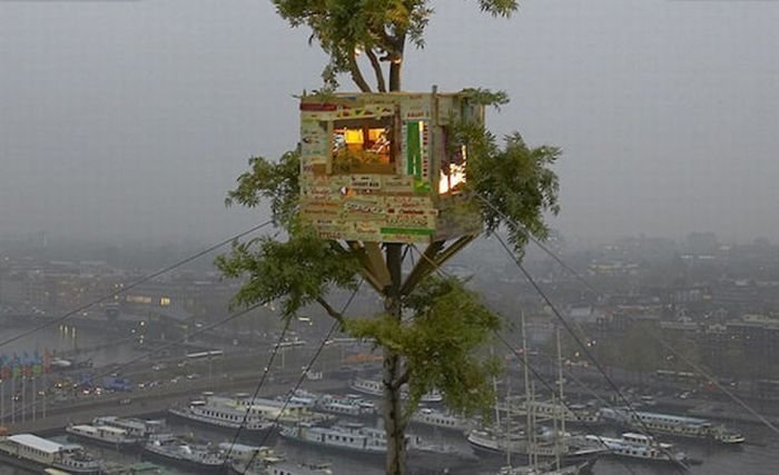 treehouse