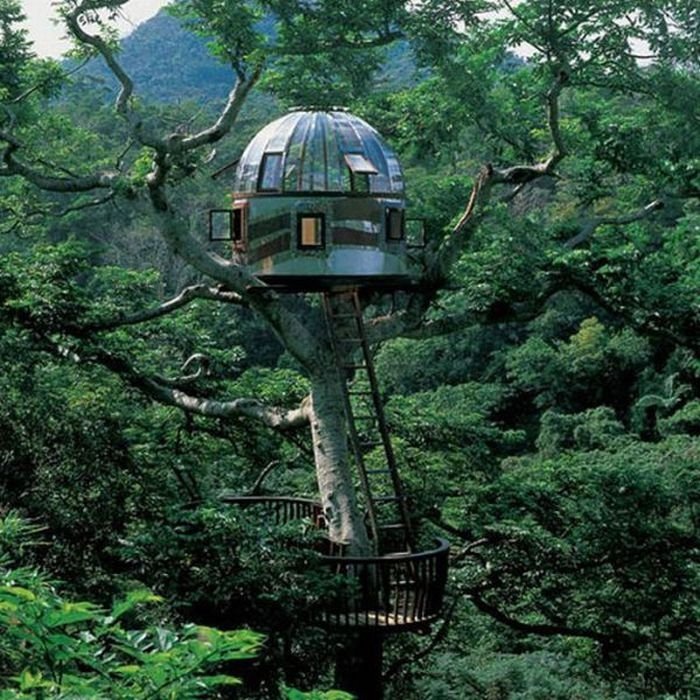 treehouse