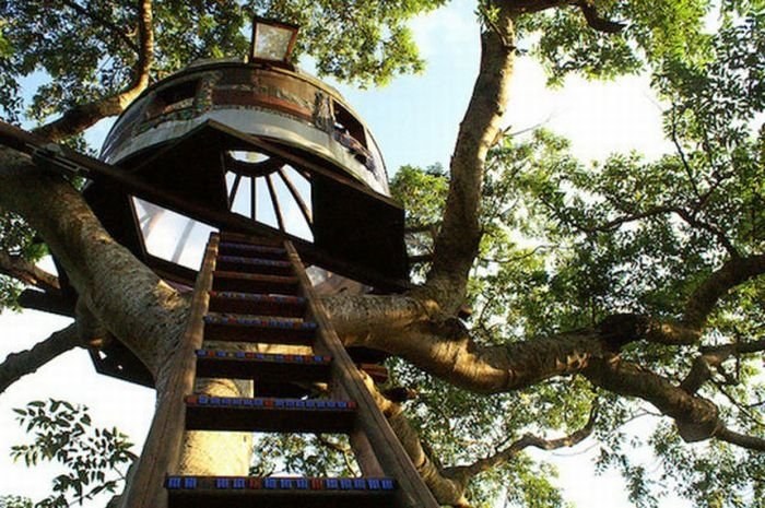 treehouse