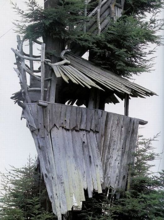 treehouse