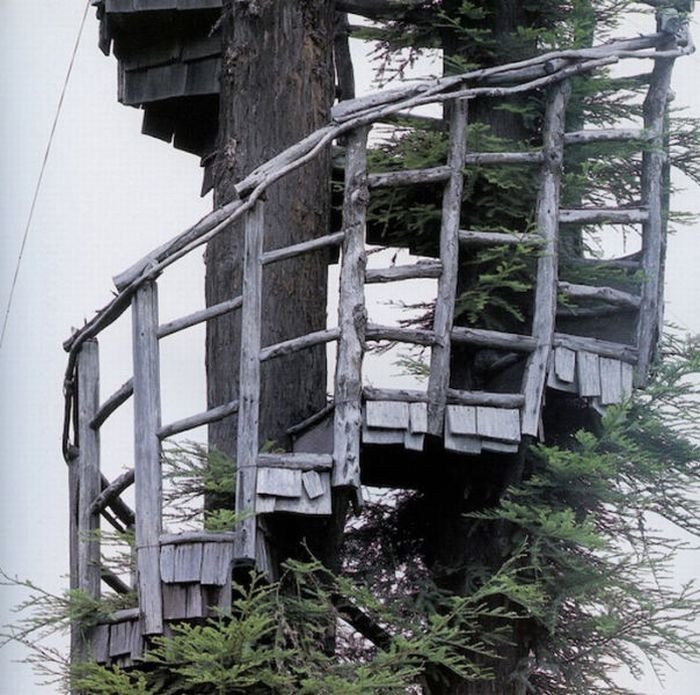 treehouse