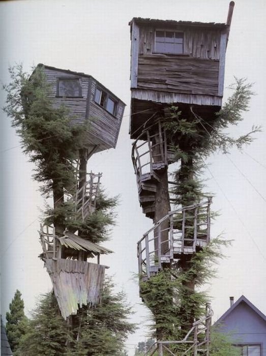 treehouse