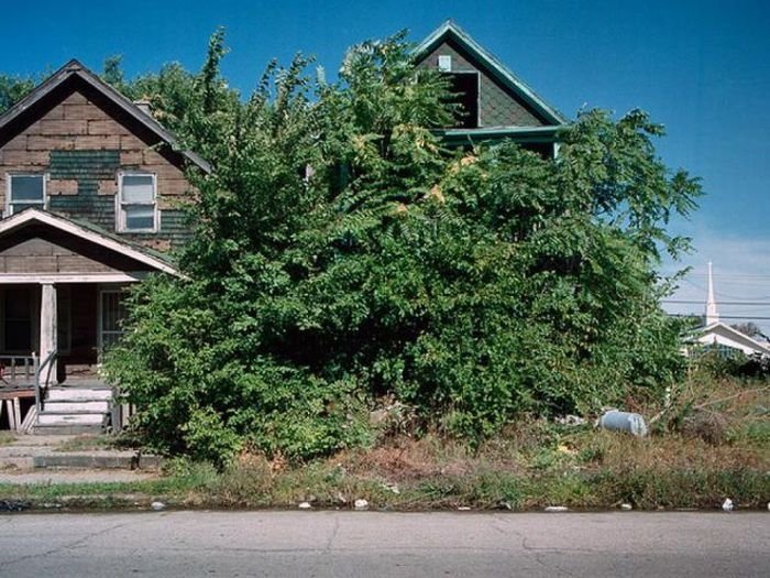 100 Abandoned Houses by Kevin Bauman, Detroit, United States