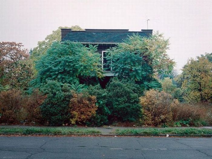 100 Abandoned Houses by Kevin Bauman, Detroit, United States