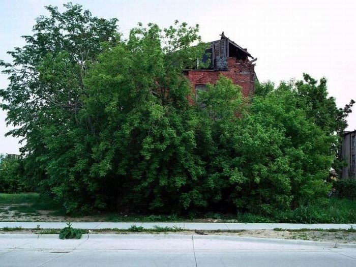 100 Abandoned Houses by Kevin Bauman, Detroit, United States