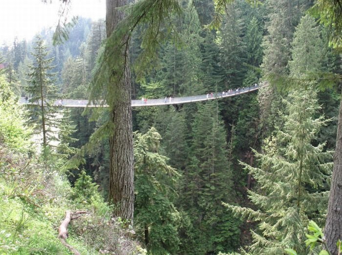 Capilano Suspension Bridge, British Columbia, Canada