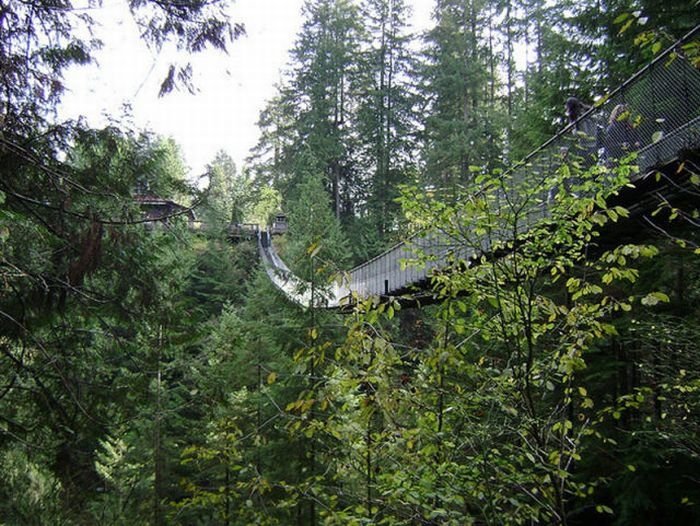 Capilano Suspension Bridge, British Columbia, Canada