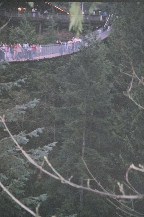 Capilano Suspension Bridge, British Columbia, Canada