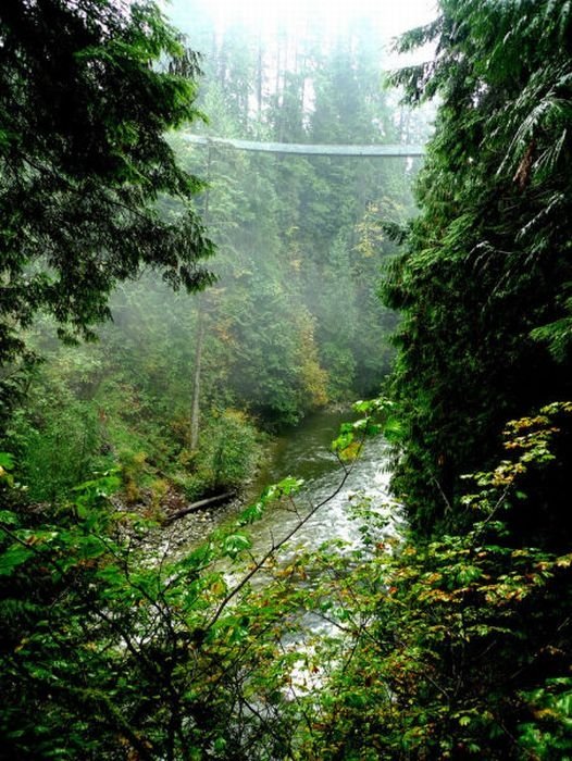 Capilano Suspension Bridge, British Columbia, Canada