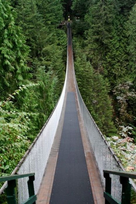 Capilano Suspension Bridge, British Columbia, Canada