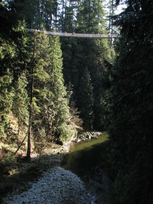 Capilano Suspension Bridge, British Columbia, Canada