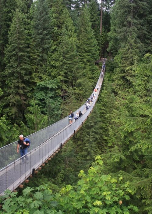 Capilano Suspension Bridge, British Columbia, Canada