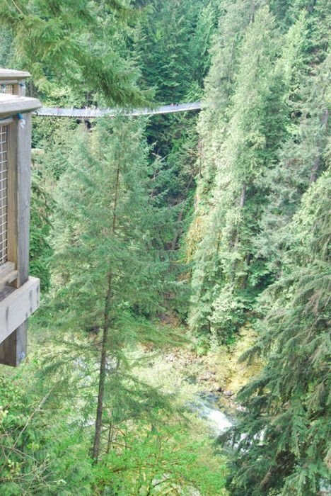 Capilano Suspension Bridge, British Columbia, Canada