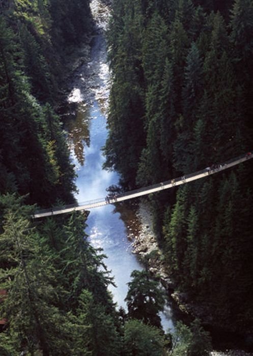 Capilano Suspension Bridge, British Columbia, Canada