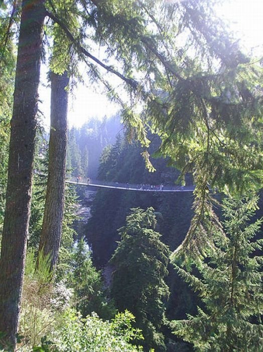 Capilano Suspension Bridge, British Columbia, Canada