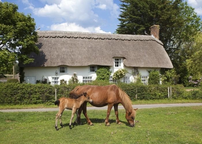 House with a beautiful thatch roof, England, United Kingdom