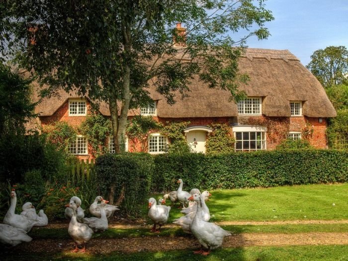 House with a beautiful thatch roof, England, United Kingdom