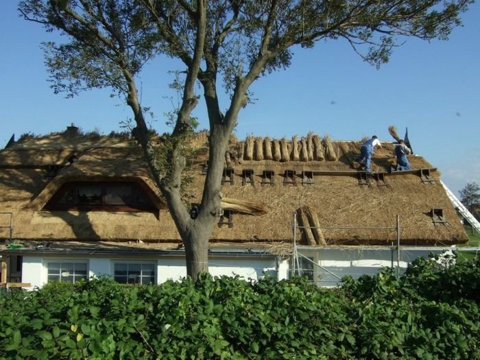 House with a beautiful thatch roof, England, United Kingdom