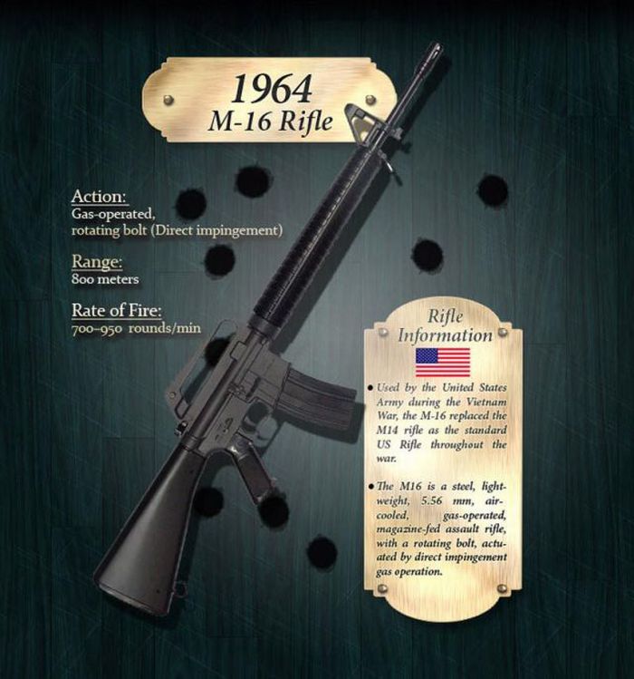 the evolution of the rifle