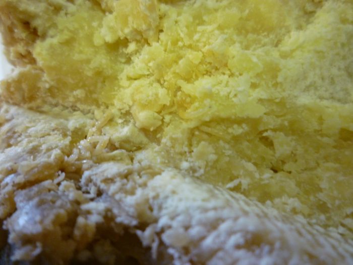 casu marzu cheese